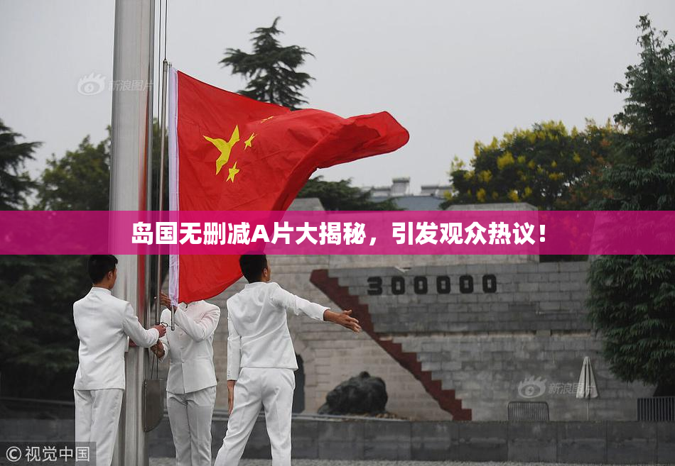 岛国无删减A片大揭秘，引发观众热议！