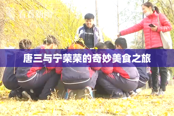唐三与宁荣荣的奇妙美食之旅