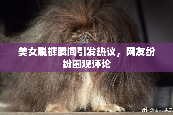 美女脱裤瞬间引发热议，网友纷纷围观评论