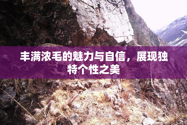 丰满浓毛的魅力与自信，展现独特个性之美