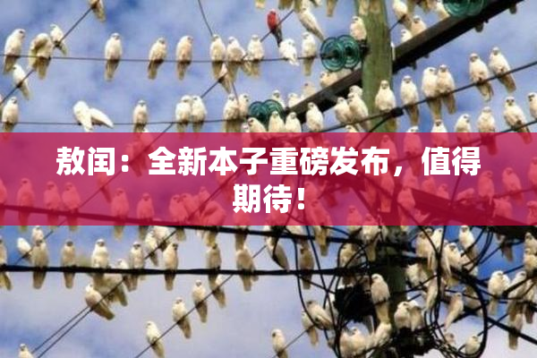 敖闰：全新本子重磅发布，值得期待！