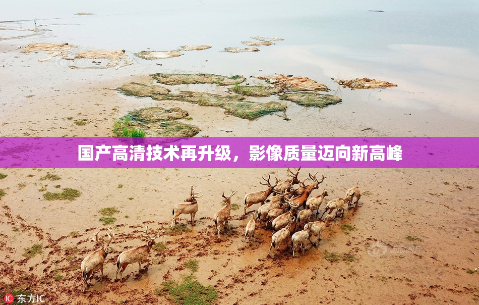 国产高清技术再升级，影像质量迈向新高峰