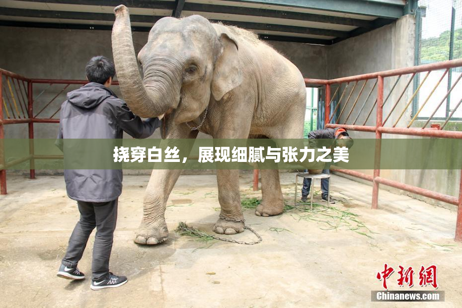 挠穿白丝，展现细腻与张力之美