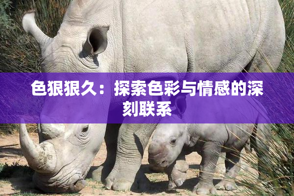 色狠狠久：探索色彩与情感的深刻联系