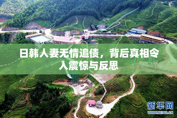 日韩人妻无情追债，背后真相令人震惊与反思