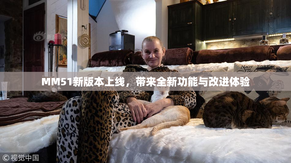 MM51新版本上线，带来全新功能与改进体验