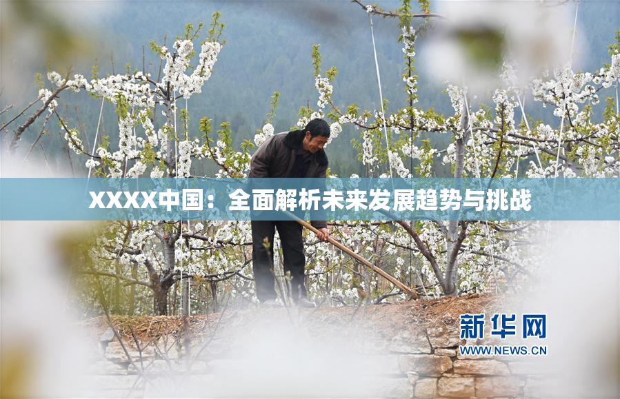 XXXX中国：全面解析未来发展趋势与挑战