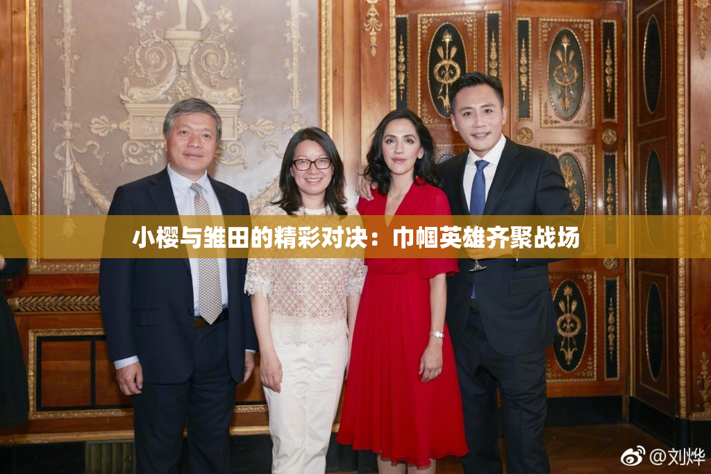小樱与雏田的精彩对决：巾帼英雄齐聚战场
