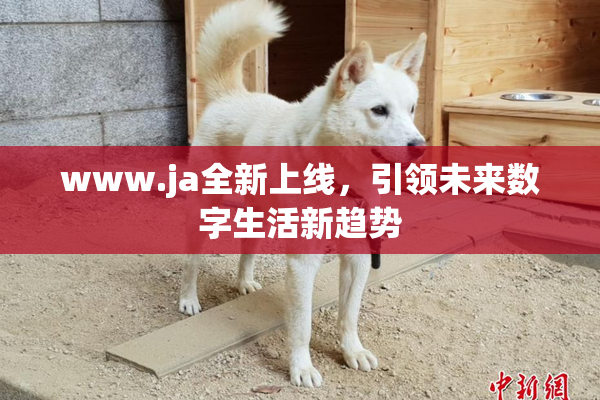 www.ja全新上线，引领未来数字生活新趋势