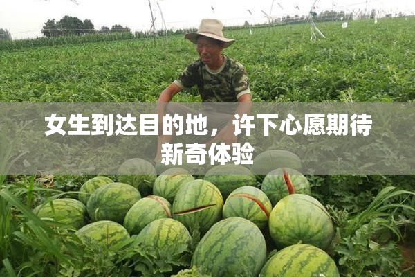 女生到达目的地，许下心愿期待新奇体验
