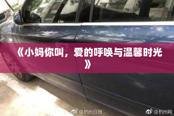 《小妈你叫，爱的呼唤与温馨时光》