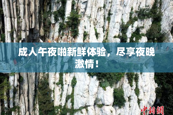 成人午夜啪新鲜体验，尽享夜晚激情！