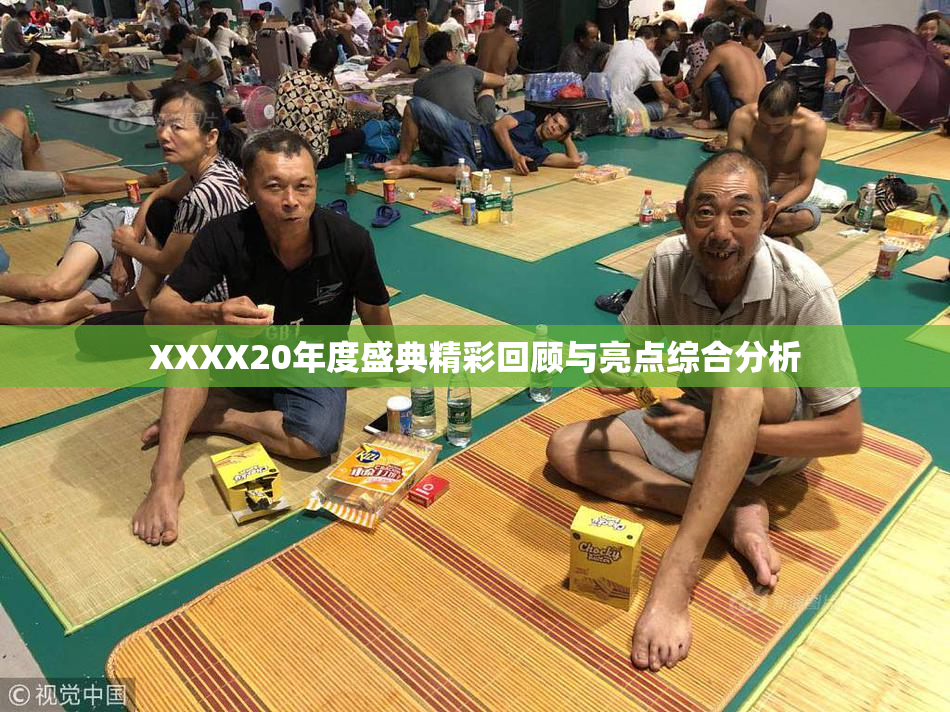 XXXX20年度盛典精彩回顾与亮点综合分析