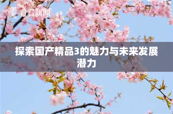 探索国产精品3的魅力与未来发展潜力