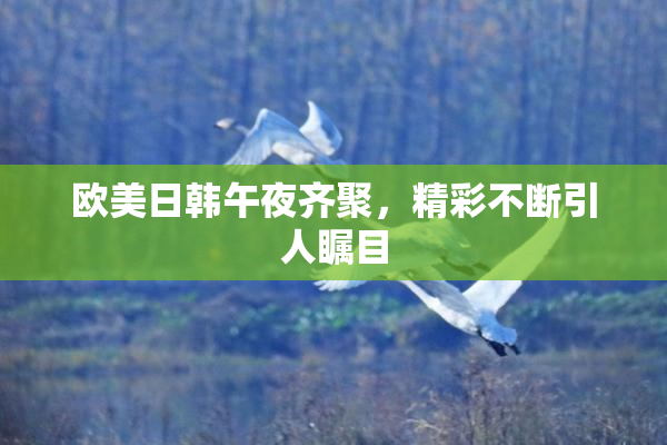 欧美日韩午夜齐聚，精彩不断引人瞩目