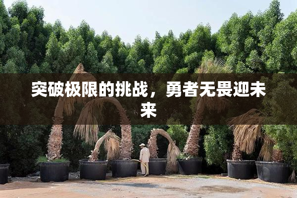 突破极限的挑战，勇者无畏迎未来