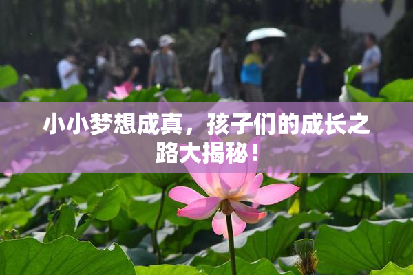 小小梦想成真，孩子们的成长之路大揭秘！
