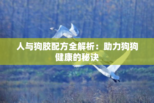 人与狗胶配方全解析：助力狗狗健康的秘诀
