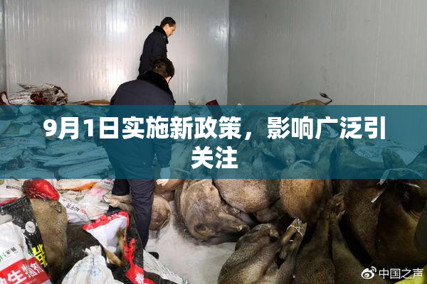 9月1日实施新政策，影响广泛引关注