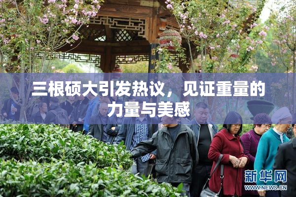 三根硕大引发热议，见证重量的力量与美感