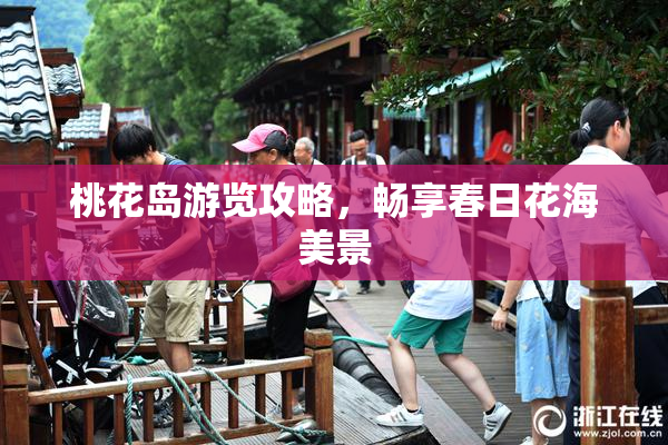 桃花岛游览攻略，畅享春日花海美景
