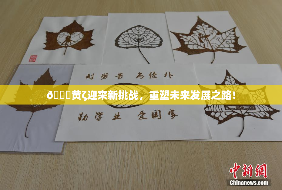 🔞黄ζ迎来新挑战，重塑未来发展之路！
