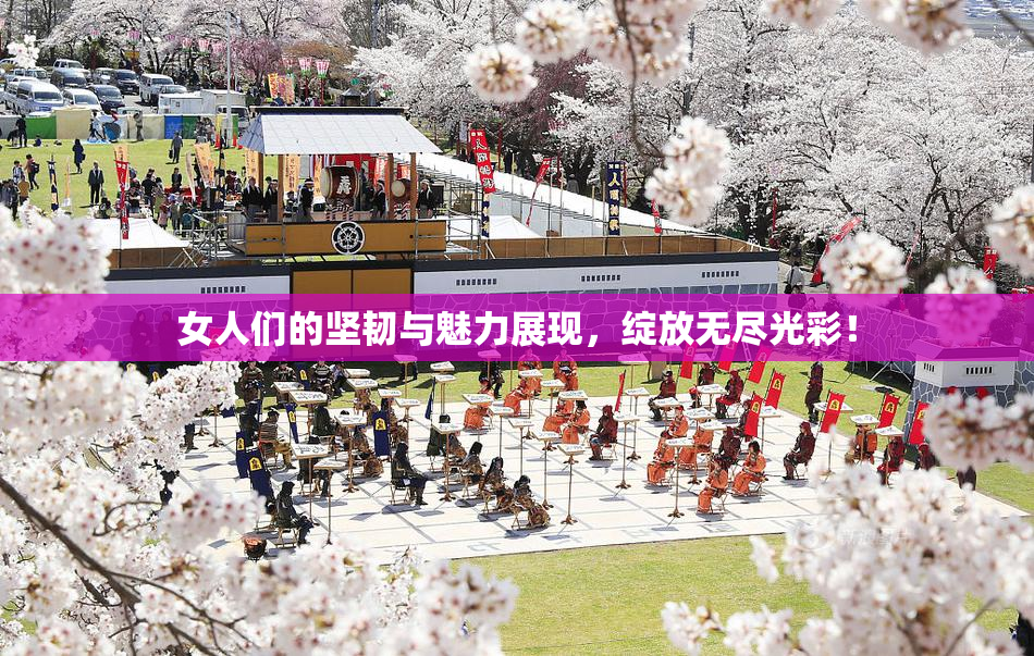 女人们的坚韧与魅力展现，绽放无尽光彩！