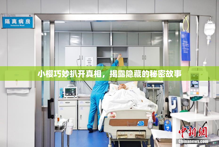 小樱巧妙扒开真相，揭露隐藏的秘密故事