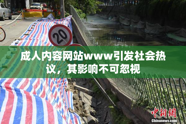 成人内容网站www引发社会热议，其影响不可忽视