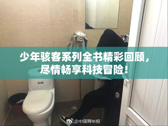 少年骇客系列全书精彩回顾，尽情畅享科技冒险！