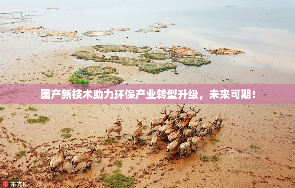 国产新技术助力环保产业转型升级，未来可期！