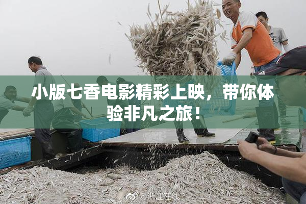 小版七香电影精彩上映，带你体验非凡之旅！