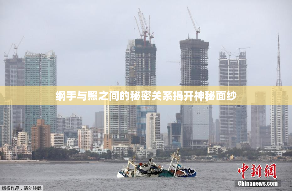 纲手与照之间的秘密关系揭开神秘面纱
