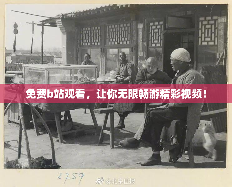 免费b站观看，让你无限畅游精彩视频！