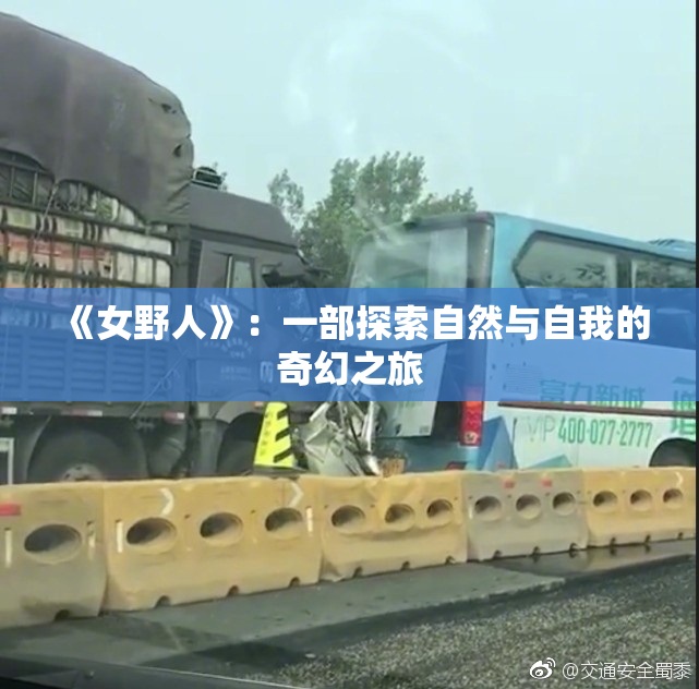 《女野人》：一部探索自然与自我的奇幻之旅