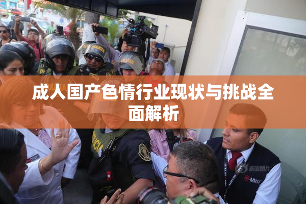 成人国产色情行业现状与挑战全面解析