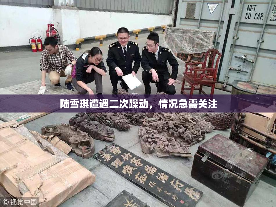陆雪琪遭遇二次躁动，情况急需关注