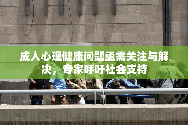 成人心理健康问题亟需关注与解决，专家呼吁社会支持