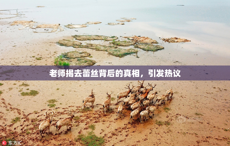 老师揭去蕾丝背后的真相，引发热议