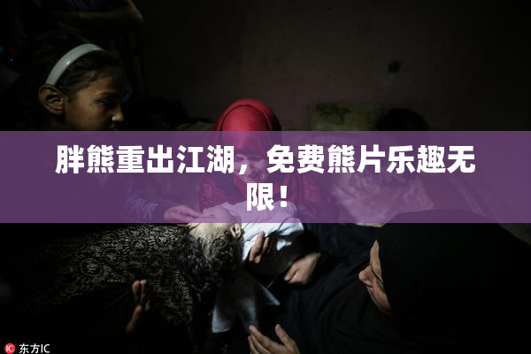 胖熊重出江湖，免费熊片乐趣无限！