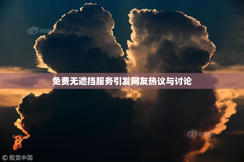 免费无遮挡服务引发网友热议与讨论