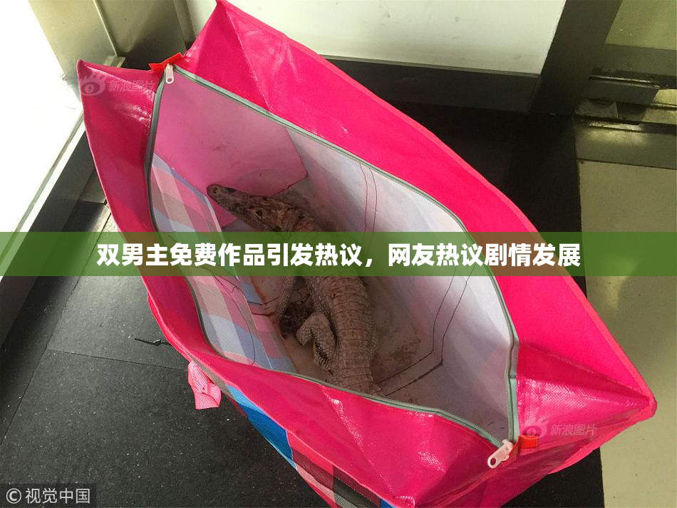 双男主免费作品引发热议，网友热议剧情发展