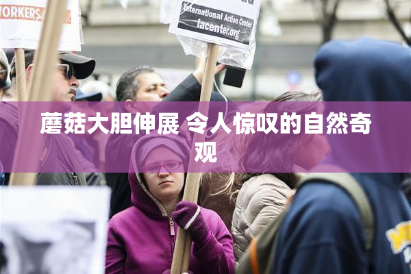 蘑菇大胆伸展 令人惊叹的自然奇观