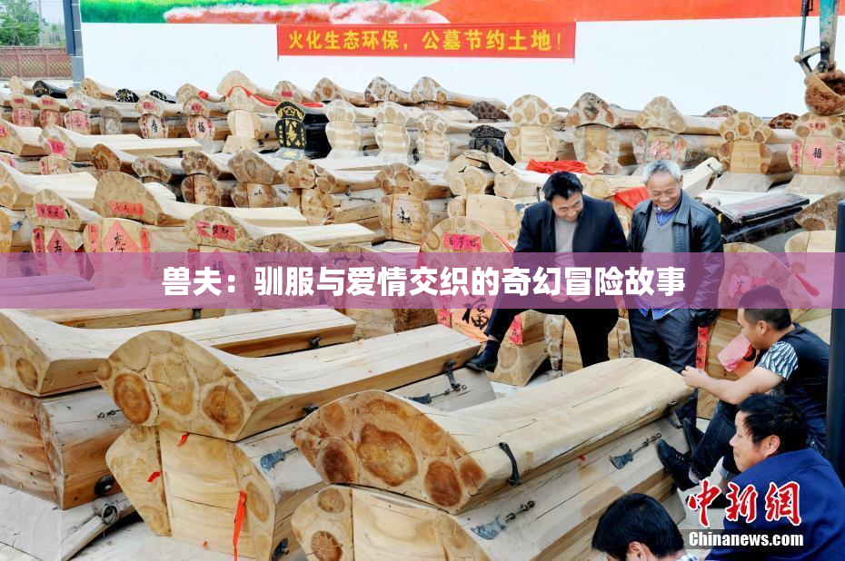兽夫：驯服与爱情交织的奇幻冒险故事
