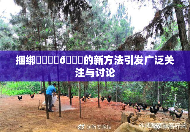 捆绑❌‌❌‌🔞的新方法引发广泛关注与讨论