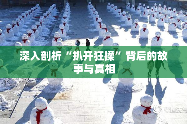 深入剖析“扒开狂揉”背后的故事与真相