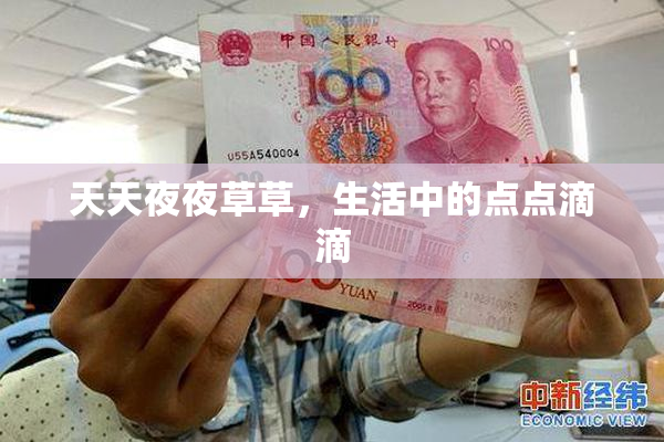 天天夜夜草草，生活中的点点滴滴
