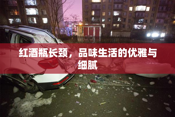 红酒瓶长颈，品味生活的优雅与细腻