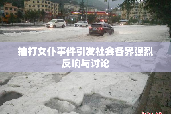 抽打女仆事件引发社会各界强烈反响与讨论