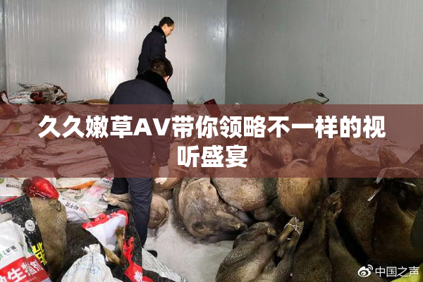 久久嫩草AV带你领略不一样的视听盛宴